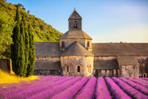 Die Abtei von Sénanque, bekannt als Abbaye Notre-Dame de Sénanque, ist eine der berühmtesten Sehenswürdigkeiten in der Provence.