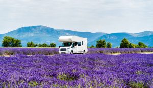 Ein Roadtrip durch die Provence.