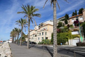 Promenade von Bandol mit Palmen und Häusern entlang der Küste