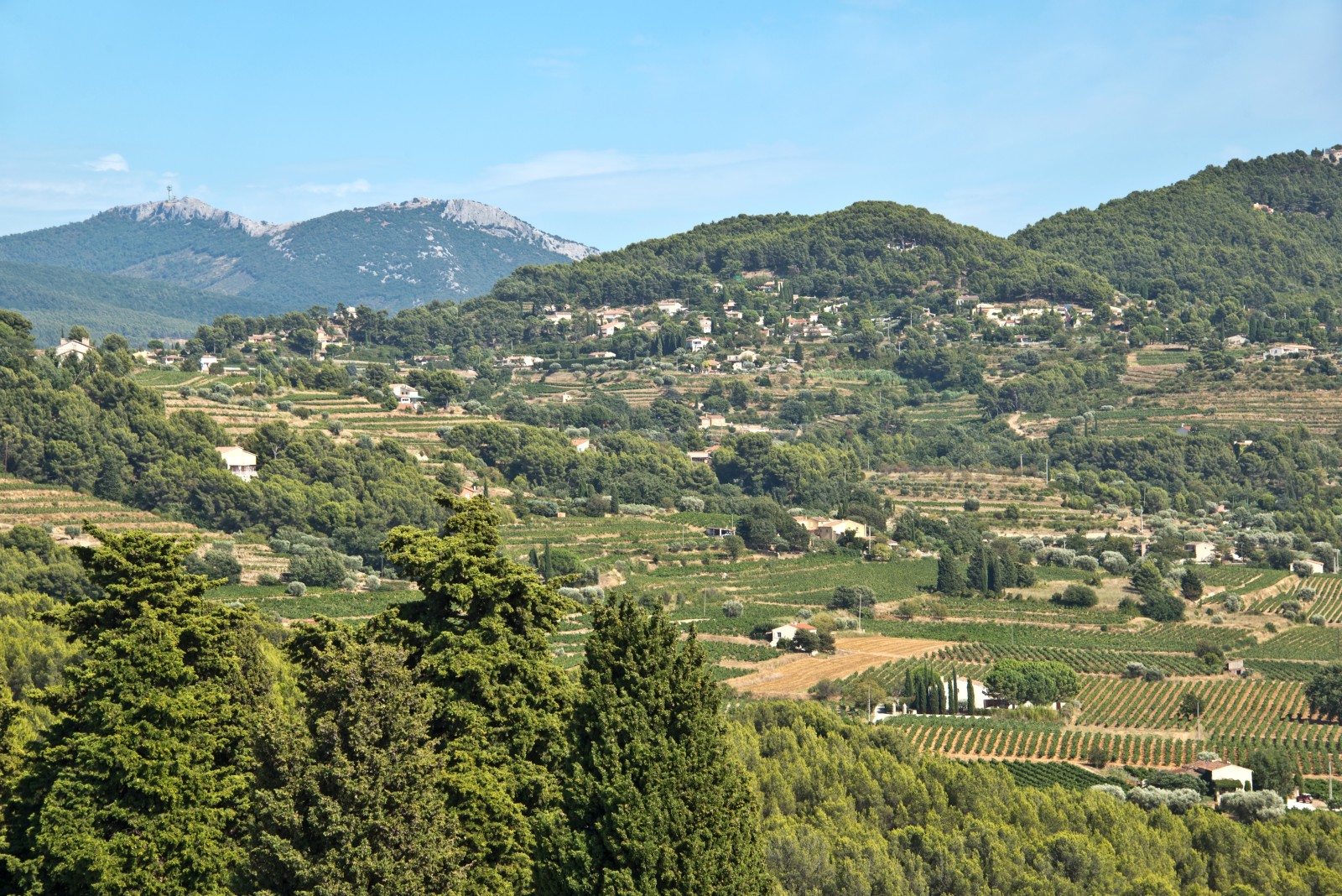 Bandol ist ein Anbaugebiet für Wein.