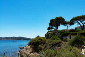 Felsige Küste bei La Mitre in Toulon mit Pinien und blauem Meer