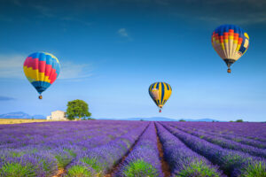 Heißluftballons fliegen über violette Lavendelfelder in der Provence bei strahlend blauem Himmel im Juni.