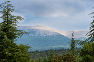 Mont Ventoux mit Sendeturm auf dem Gipfel, eingerahmt von Nadelbäumen