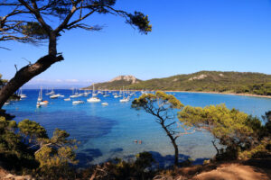 Blick auf die Plage Notre-Dame auf Porquerolles mit Pinien, Segelbooten und türkisblauer Bucht