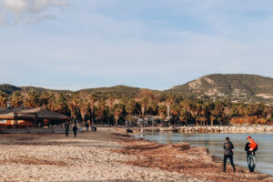 Strand von Port Grimaud mit Palmen, ruhigem Wasser und Hügeln im Hintergrund