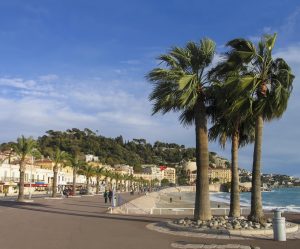 Palmen an der Promenade des Anglais mit Blick Richtung Colline du Château und Mittelmeer