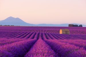 Die Provence ist eine wunderschöne Landschaft im Südosten von Frankreich.