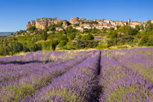 Saignon mit einem Lavendelfeld im Luberon