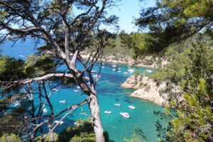 Sentier du Littoral bei Bandol mit Blick auf türkisfarbene Buchten und Pinien